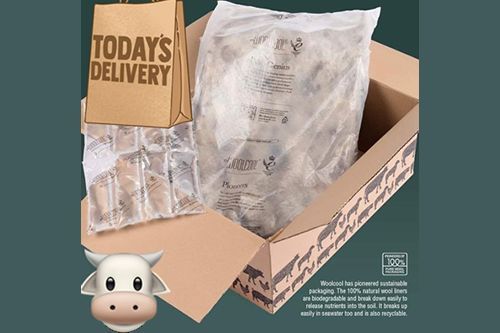 Browse Delivery - Cool Box Kit Option